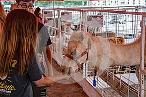 HedrickÃ¢â¬â¢s Petting Zoo